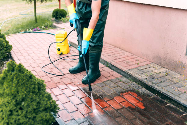 Professional  Pressure Washing in Mount Pleasant, MI